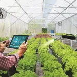 Agrotech, ihracat ve yeni satın almalarla büyümeye devam edecek