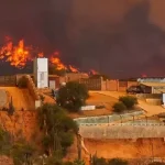 Şili’de orman yangınları: En az 10 kişi öldü, ülkede OHAL ilan edildi