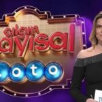 Çılgın Sayısal Loto 13 Mart 2024 sonuçları | Çılgın Sayısal Loto bilet sorgulama sayfası