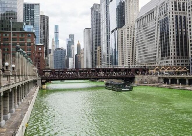 Chicago Nehri yine yeşile boyandı