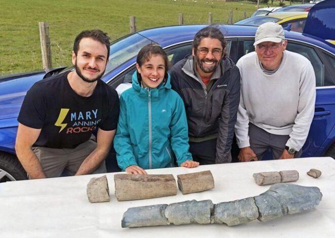 11 yaşındaki çocuğun bulduğu fosil, 202 milyon yaşında çıktı