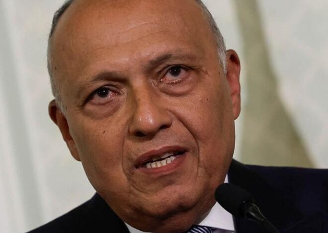 Mısır Dışişleri Bakanı Shoukry, Türkiye’ye geliyor