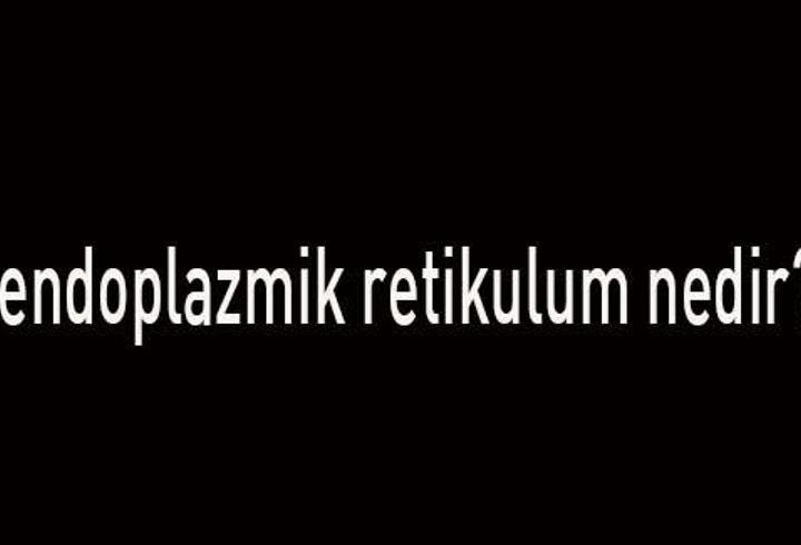 Endoplazmik Retikulum Nedir, Özellikleri Nelerdir? Endoplazmik Retikulum Görevleri Nelerdir?