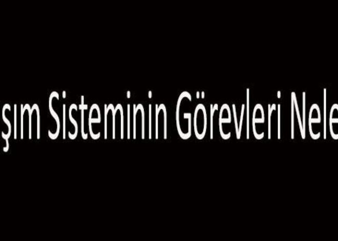 Dolaşım Sisteminin Görevleri Nelerdir? Dolaşım Sistemi Vücutta Ne İşe Yarar?