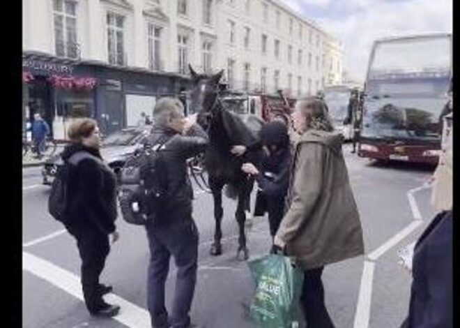 Süvari atları Londra caddelerinde dört nala koştu: Atlar dahil yaralılar var