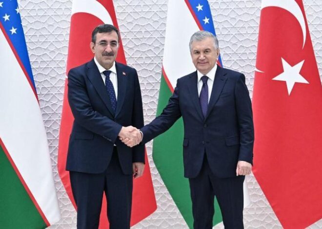 Cumhurbaşkanı Yardımcısı Yılmaz, Özbekistan Cumhurbaşkanı Mirziyoyev ile görüştü