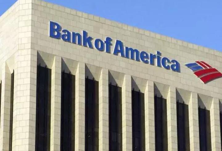 Bank of America dolar/TL tahminini açıkladı