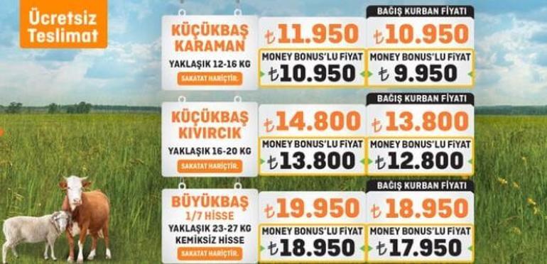 Migros kurbanlık fiyatları 2024 Migros küçükbaş ve büyükbaş kurbanlık fiyatı ne kadar, kaç TL