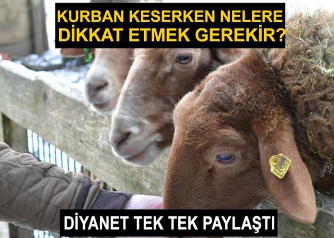 Kurban keserken nelere dikkat etmek gerekir? Kurban nasıl kesilir?