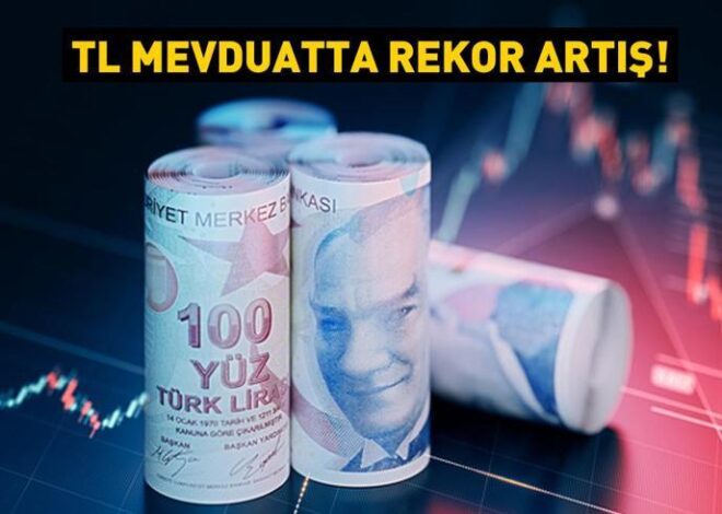 TL mevduatta rekor artış! 50 ay sonra bir ilk gerçekleşti…