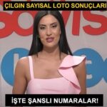 Sayısal Loto 10 Haziran 2024 sonuçları… Çılgın Sayısal Loto bilet sorgulama linki