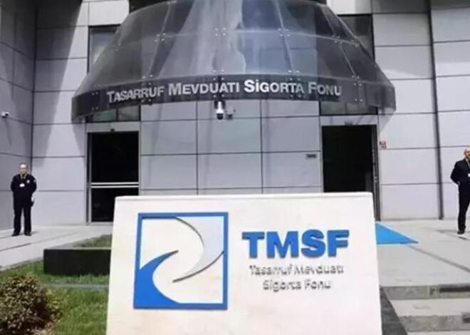 TMSF üç varlığı satışa çıkardı