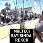 Mülteci sayısında rekor artış! BM dünya genelindeki sayıyı açıkladı