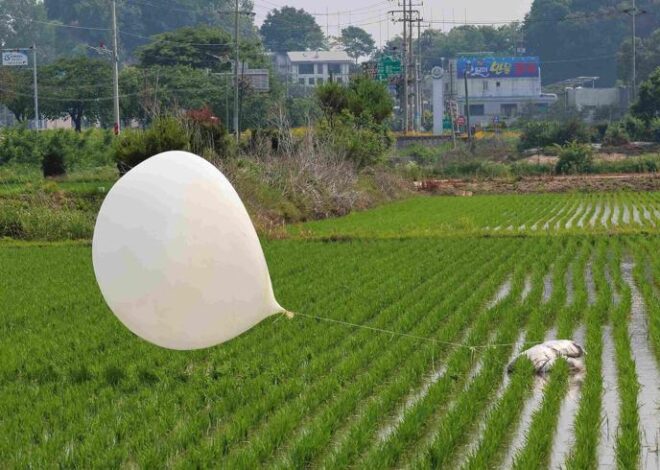 Kuzey Kore’nin ‘çöp balonları’ rötara sebep oldu