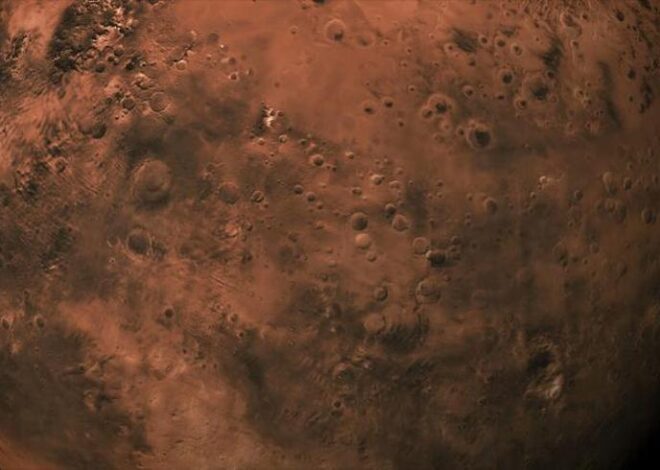 Mars’ta hayatta kalabilecek bir bitki keşfedildi