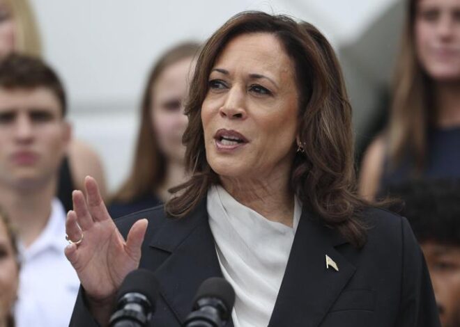 Kamala Harris, Demokrat Partili delegelerin yeterli desteğini aldı